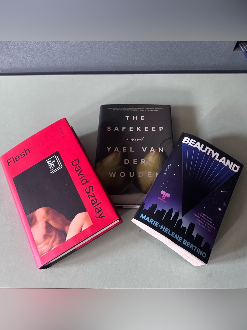 Contemporary Fiction Bundle — Flesh, The Safekeep, Beautyland (3 Books)